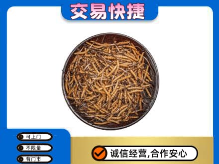 怀化回收散虫草